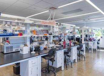 Azenta, GENEWIZ Laboratory Renovation | Vanderweil Engineers